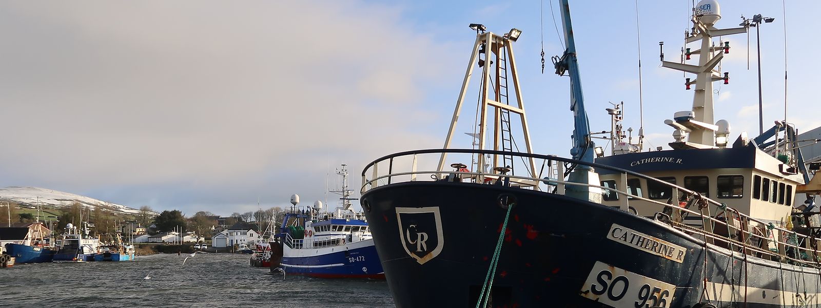 Der Fischerhafen von Greencastle in Irland.