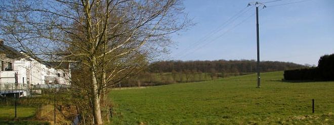 Die Hähnchenmästerei ist etwa in Höhe der Abgrenzungshecke (rechts auf dem Bild) des Bauernhofs geplant, unweit der Häuserreihe der Pissinger Duerfstrooss.