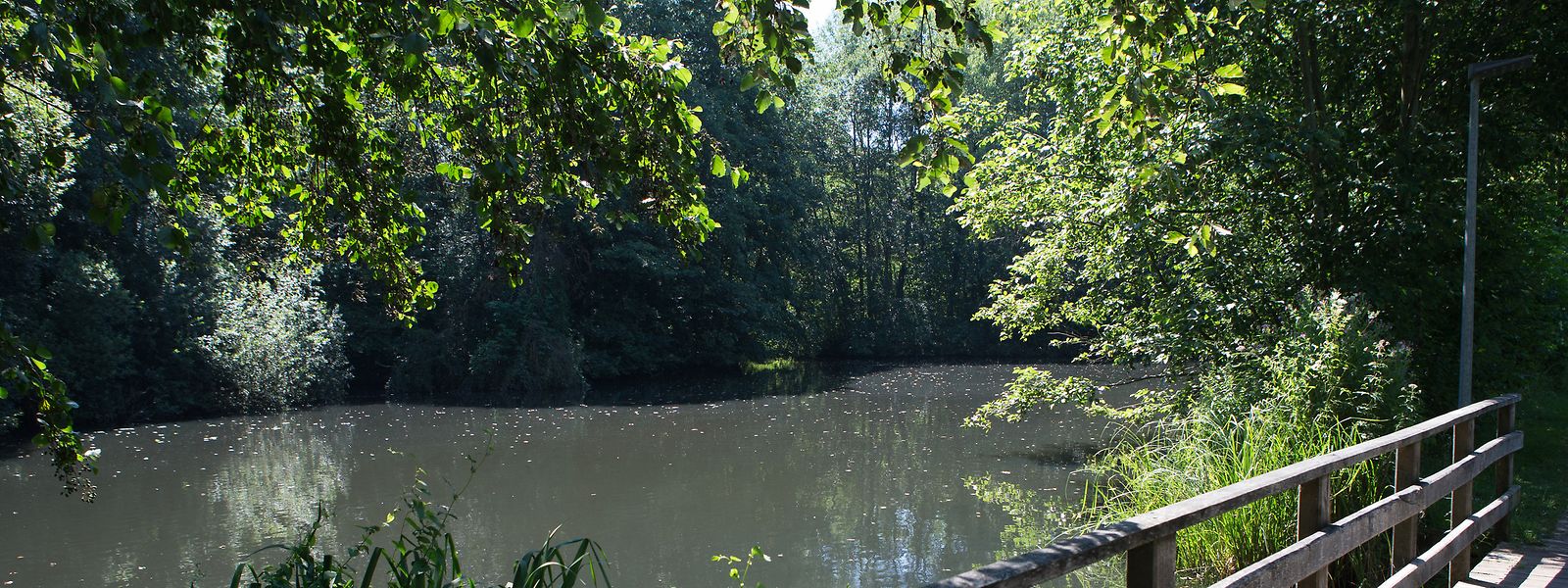 O lago de Echternach é uma das áreas naturais protegidas no país.