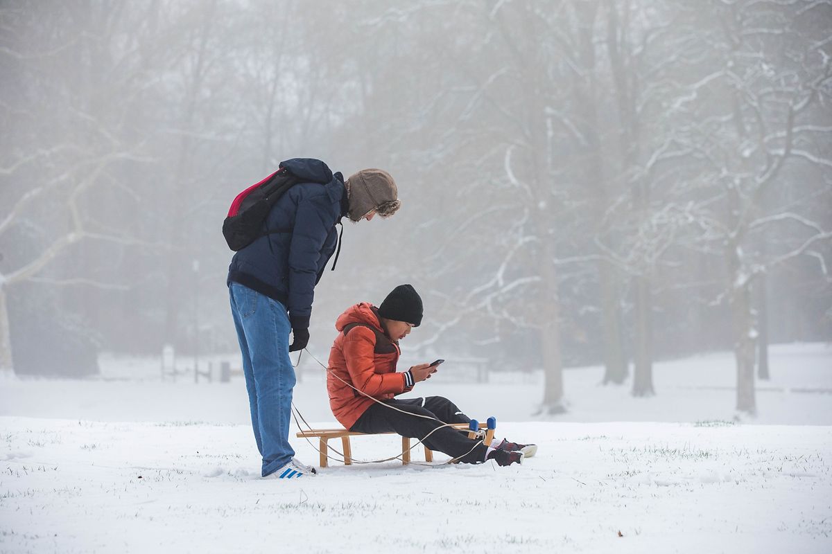 So mancher wollte den ersten Schnee dann auch gleich nutzen und schnappte sich seinen Schlitten. 