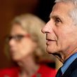 Anthony Fauci(R), director of the National Institute of Allergy and Infectious Diseases, and Diana Bianchi, director of the Eunice Kennedy Shriver National Institute of Child Health and Human Development, speak following a hearing looking into the budget estimates for National Institute of Health (NIH) and the state of medical research on Capitol Hill in Washington, DC on May 26, 2021. (Photo by Stefani Reynolds / POOL / AFP)