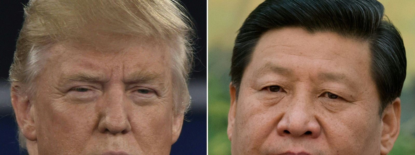 Chinas Präsident Xi Jinping bot Donald Trump eine Zusammenarbeit an.