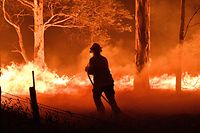 TOPSHOT - This picture taken on December 31, 2019 shows a firefighter hosing down trees and flying embers in an effort to secure nearby houses from bushfires near the town of Nowra in the Australian state of New South Wales. - Fire-ravaged Australia has launched a major operation to reach thousands of people stranded in seaside towns after deadly bushfires ripped through popular tourist areas on New Year's Eve. (Photo by SAEED KHAN / AFP)