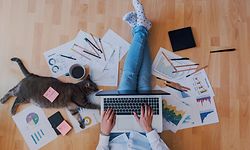 Home Office, Homeoffice