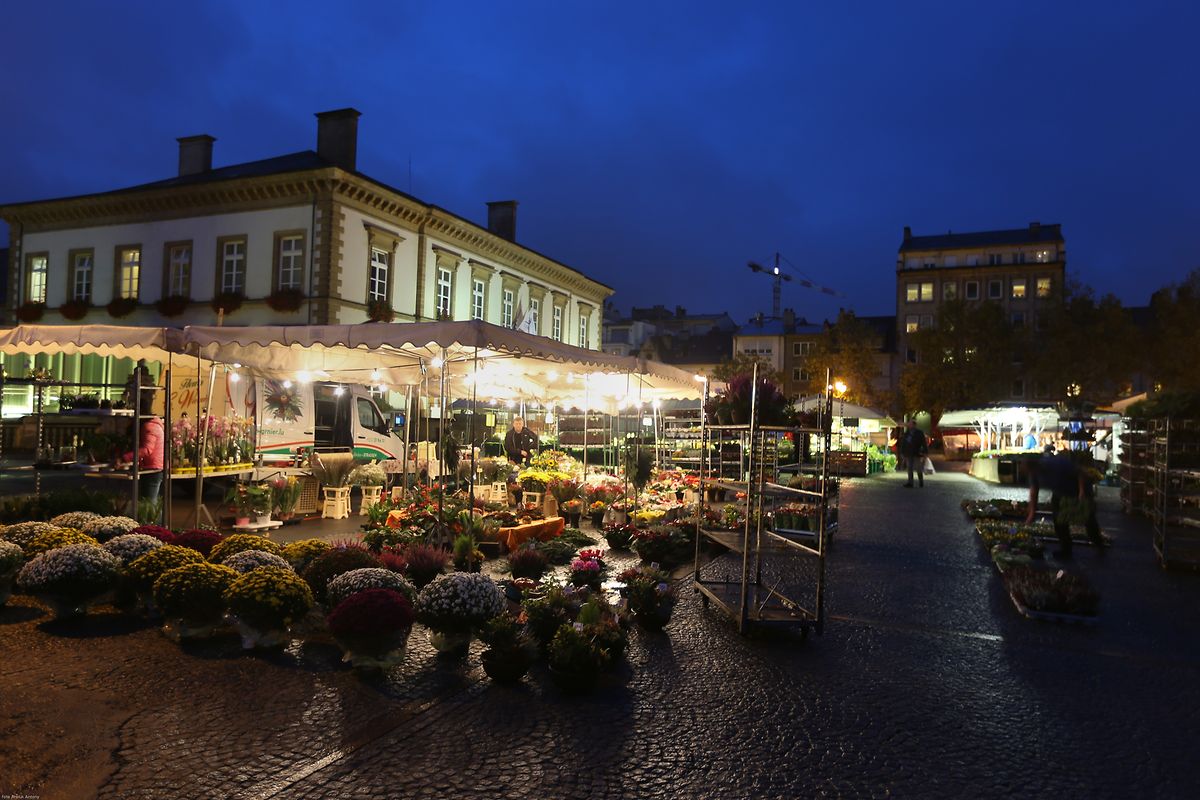 25.10.2017 Luxembourg, ville, Knuedler, place Guillaume, Wochenmarkt sehr früh am Morgen photo Anouk Antony