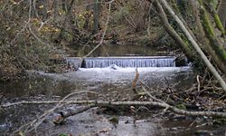 Die Leiche des Säuglings war am Wehr bei Keiwelbach gefunden worden.