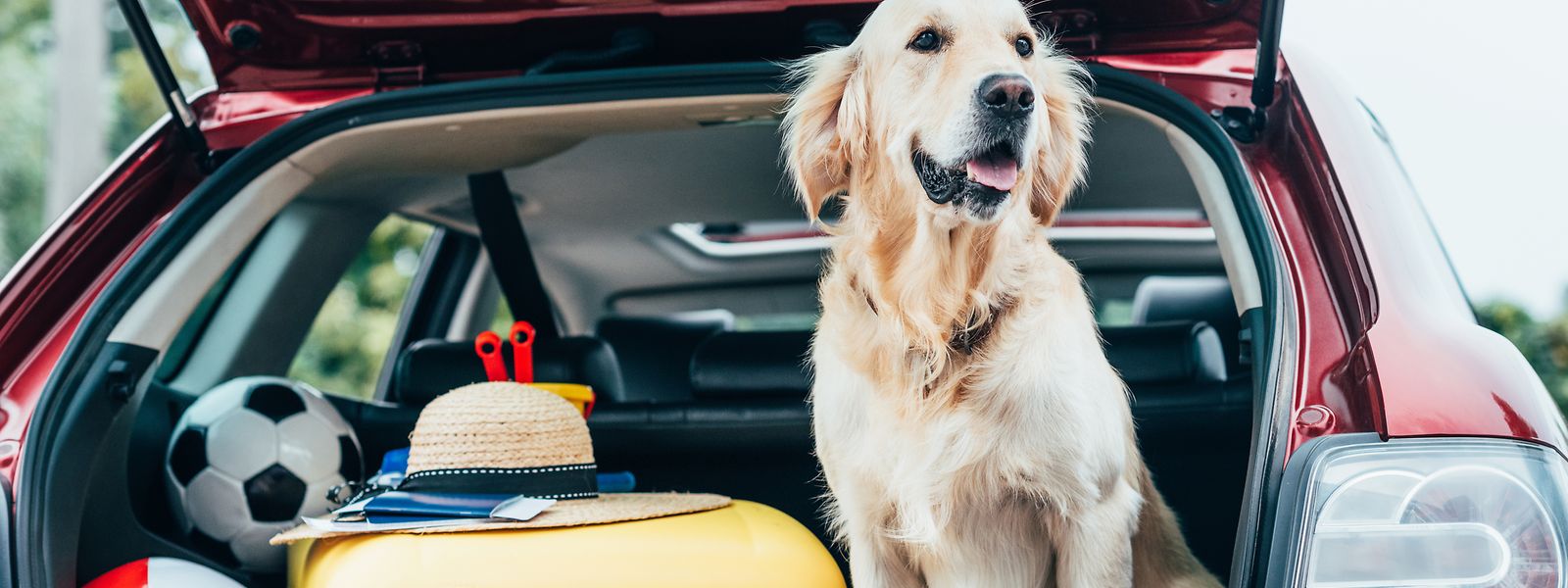 Koffer, Hund und Sonnenhut an Bord: Fast die Hälfte aller Luxemburger Einwohner nimmt das Auto, wenn es in den Urlaub geht.