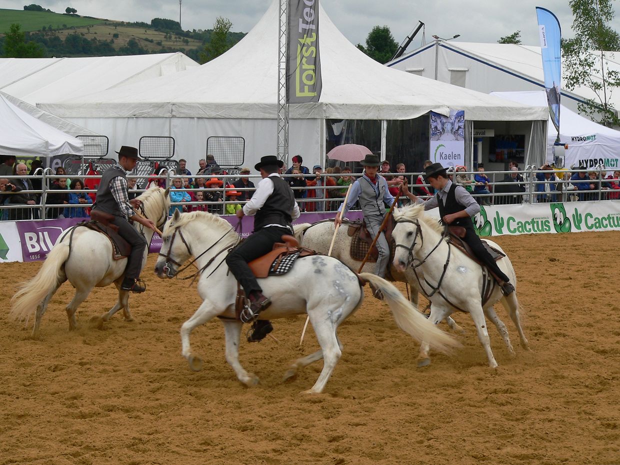 Die "Foire agricole" wusste den Regen am Samstag bereits mit einem abwechslungsreichen Show-Programm zur Nebensache werden zu lassen.