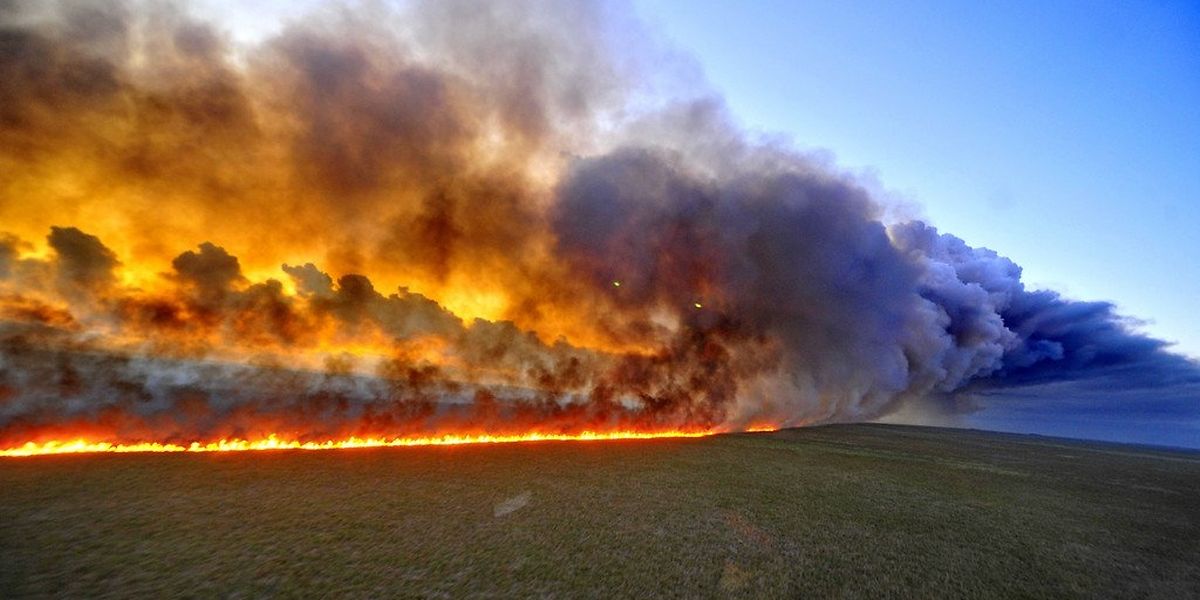 Ecocídio. Painel internacional redigiu definição jurídica ...