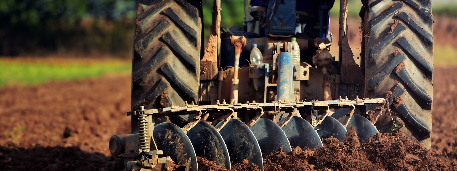 Faute d'utiliser des herbicides, les exploitants vont davantage avoir recours à la charrue.
