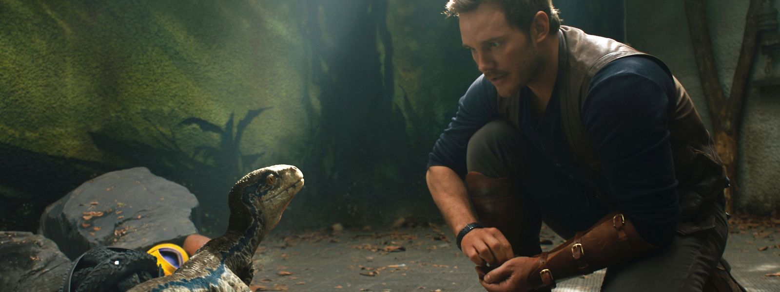   Sabia que os dinossauros não existem?