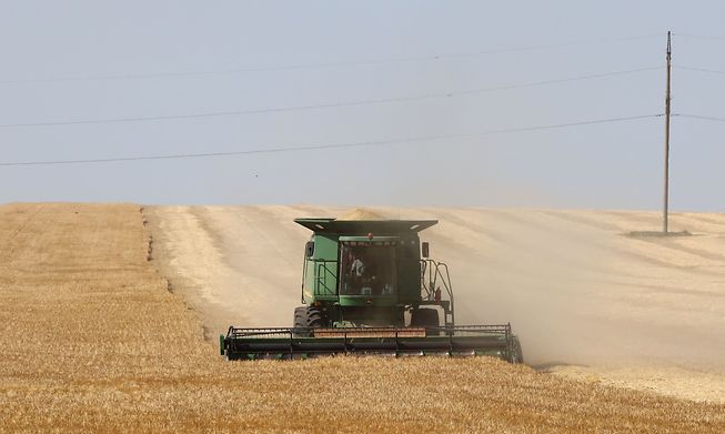A farmer operates a harvesting machine to collect wheat from a field near Izmail, Ukraine, on 14 June