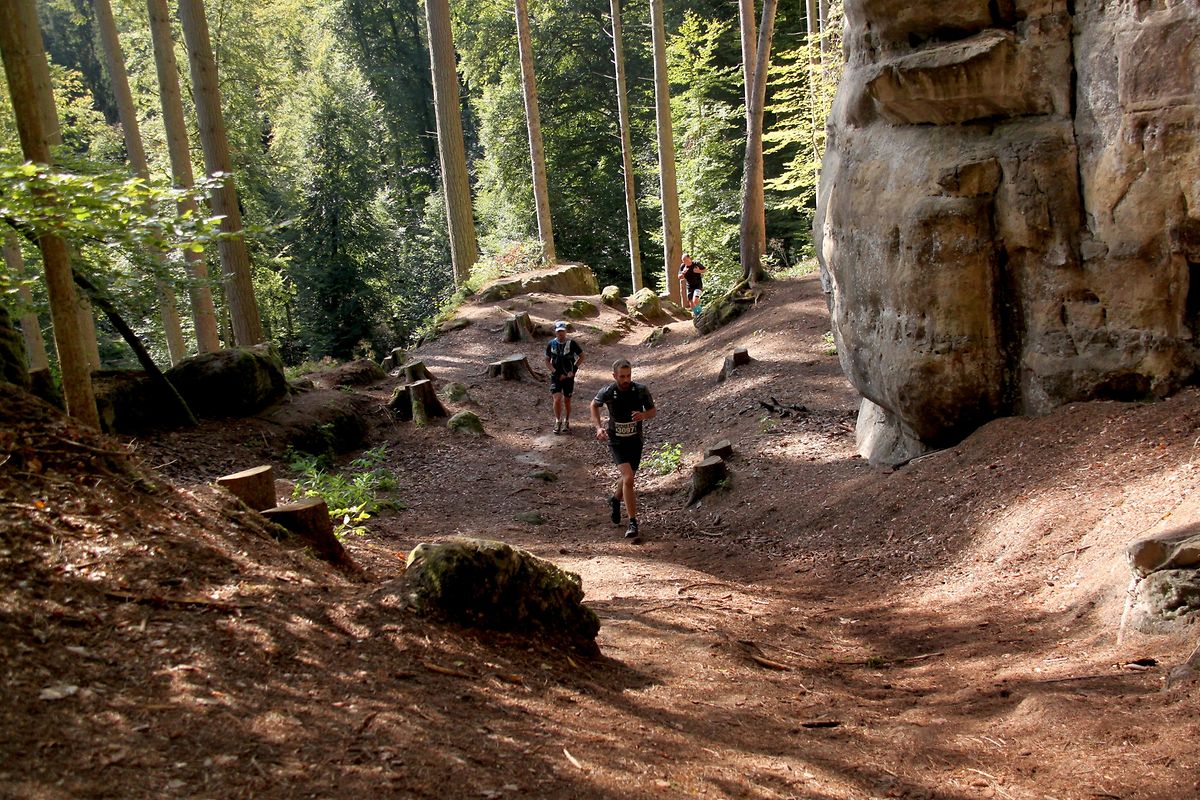 Pour les quatre Mullerthal Trails, il s'agit avant tout d'une expérience au coeur de la nature.