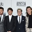 (L-R) Liam Payne, Louis Tomlinson, Niall Horan, and Harry Styles of One Direction attend the 2015 American Music Awards at the Microsoft Theater at L.A. Live in Los Angeles, California, November 22, 2015.  AFP PHOTO / VALERIE MACON