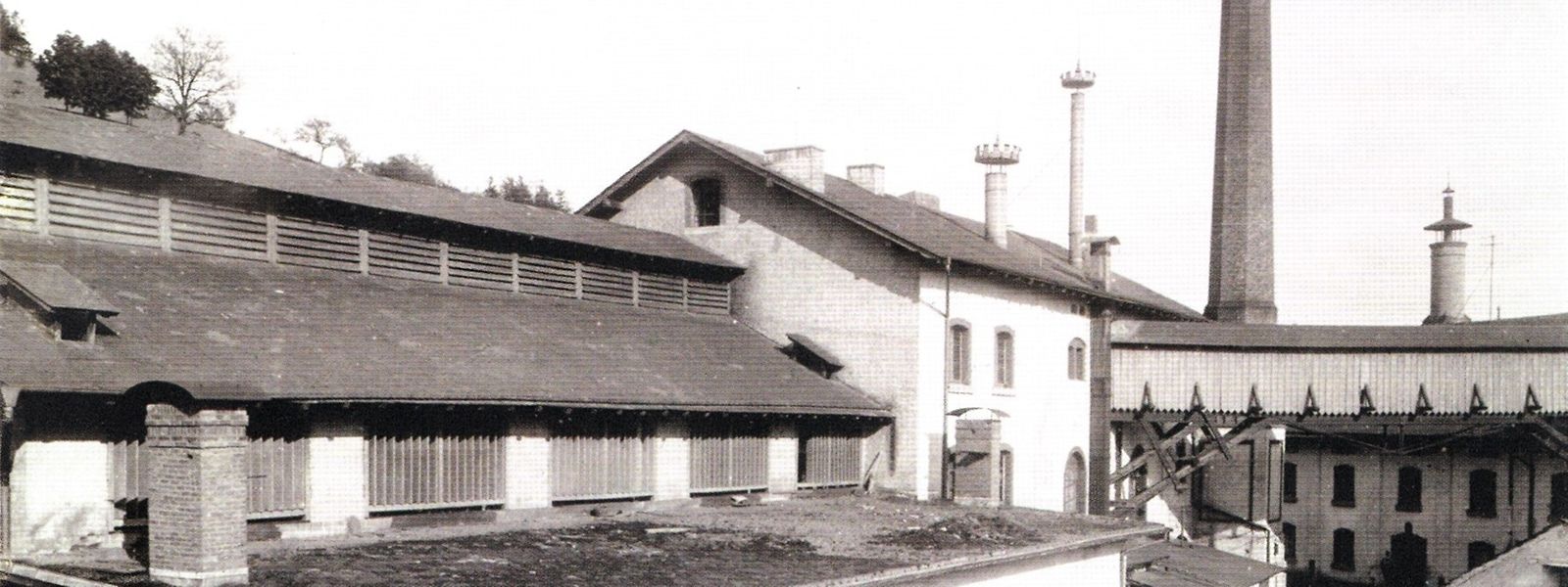 Die Gebäude der Brauerei im Bamertal, um 1885.