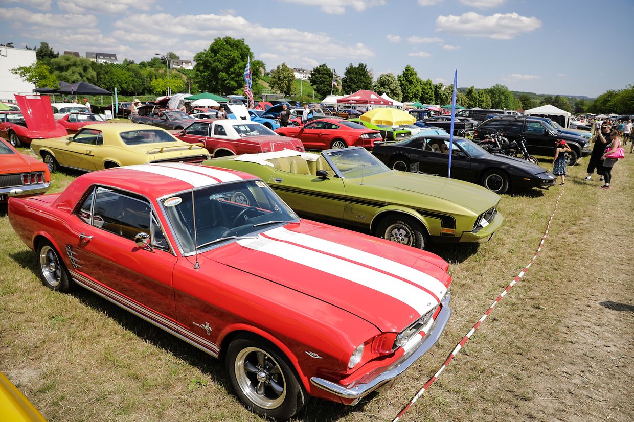 Noch bis Sonntag sind die US-Boliden in Stadtbredimus zu bestaunen.