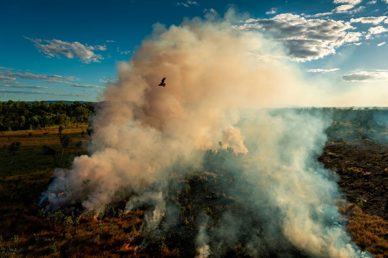 Depuis des dizaines de milliers d'années, les Aborigènes brûlent la terre de manière stratégique afin de gérer le paysage et d'éviter les incendies incontrôlés.