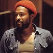 Die Film-Biografie des Sängers Marvin Gaye, "Sexual Healing" stockt.