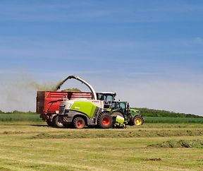 Am Grassilo 