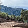 Die Wanderwege im Olivenhain des Hotels La Residencia in Deià prägt das Hinterland mit seiner Bergidylle auf Mallorca. 