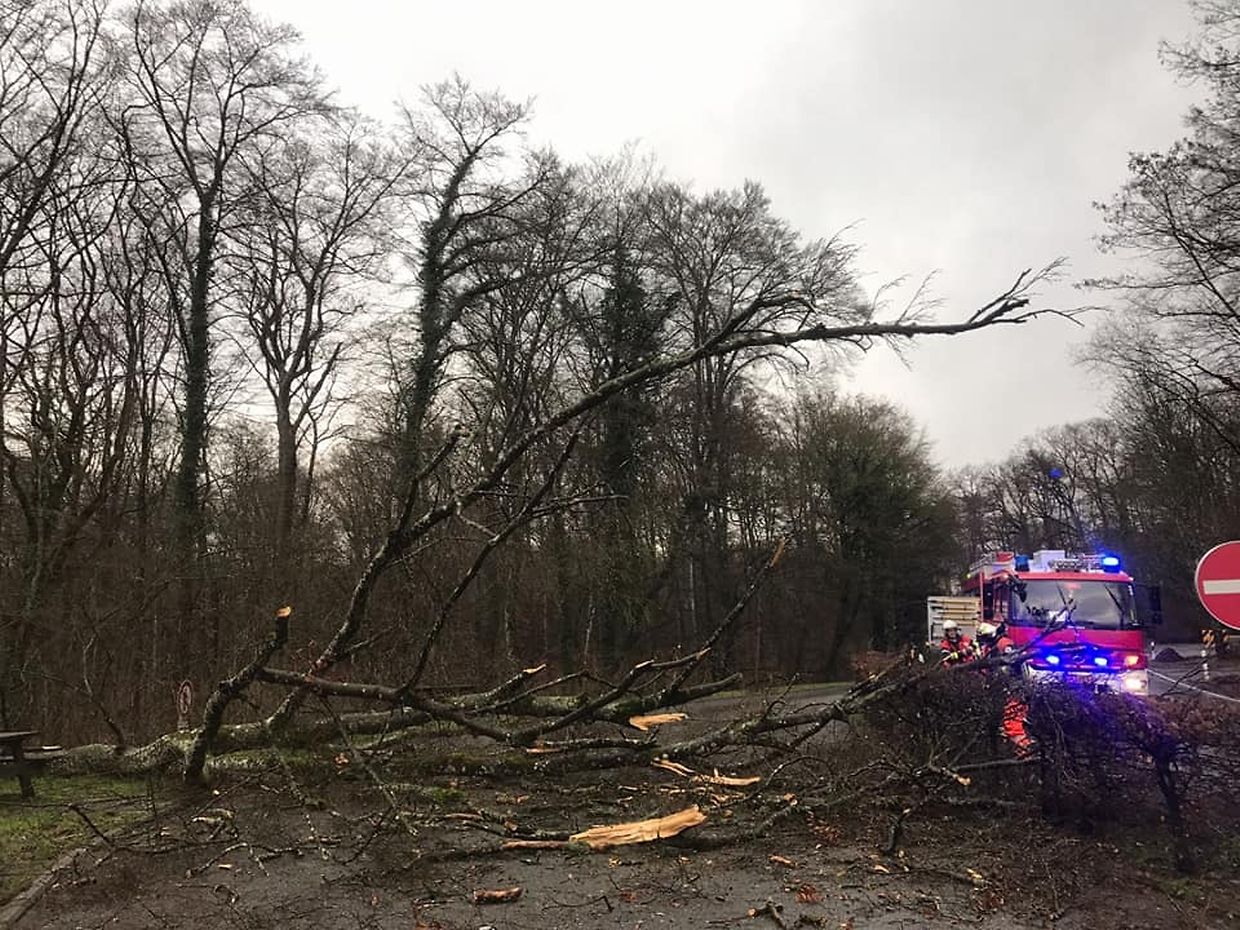 Landesweit waren 34 Bäume auf Straßen gestürzt. Zwei davon räumte der Rettungsdienst aus Junglinster aus dem Weg.
