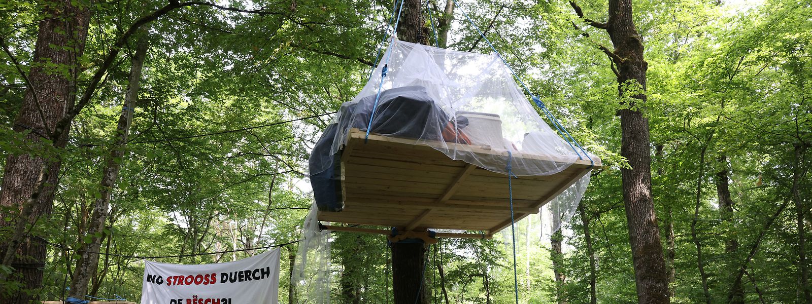 Les jeunes ont installé un campement dans la forêt près de Sassenheim.