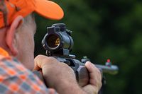 Rund 100 Jäger und 50 Treiber waren im Einsatz.