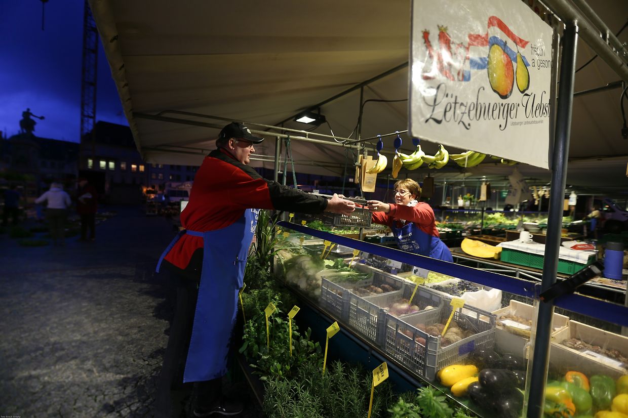 25.10.2017 Luxembourg, ville, Knuedler, place Guillaume, Wochenmarkt sehr früh am Morgen photo Anouk Antony