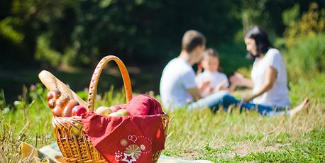 Picnic spots to try - Vimarsana News