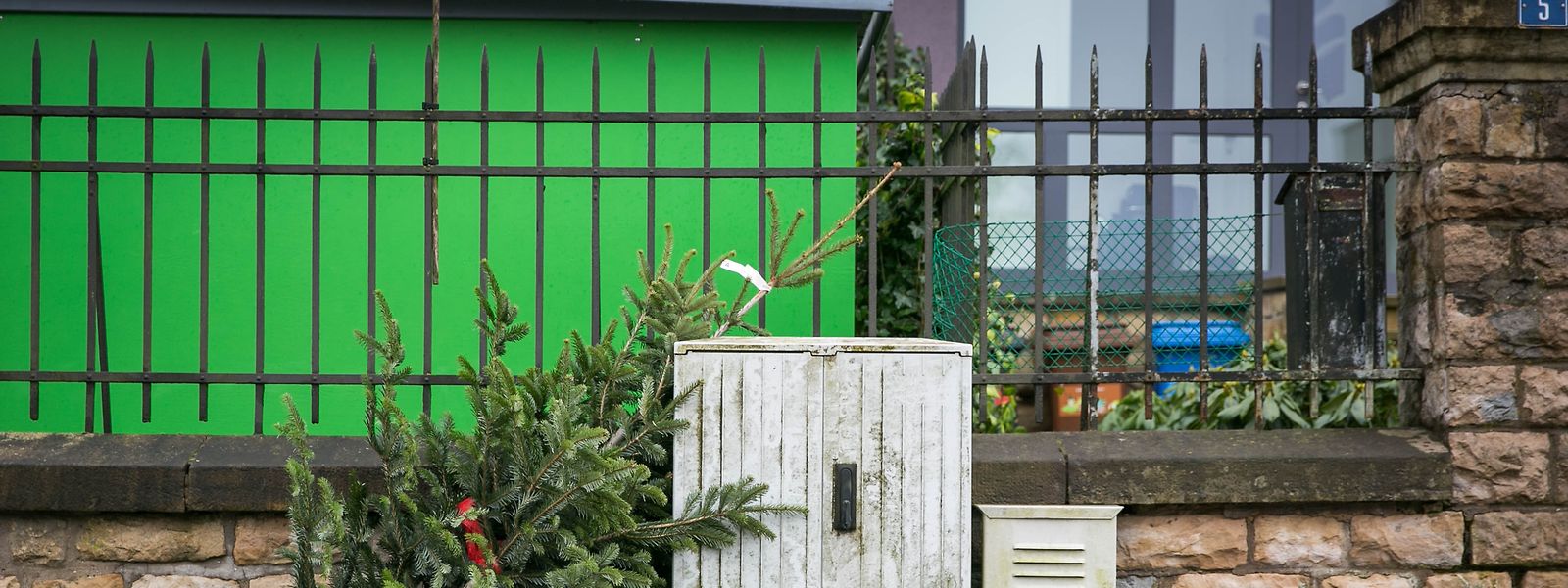 Wann die Tannen in den jeweiligen Gemeinden eingesammelt werden, findet man am häufigsten online, im ausgeteilten Kalender oder im Buet.