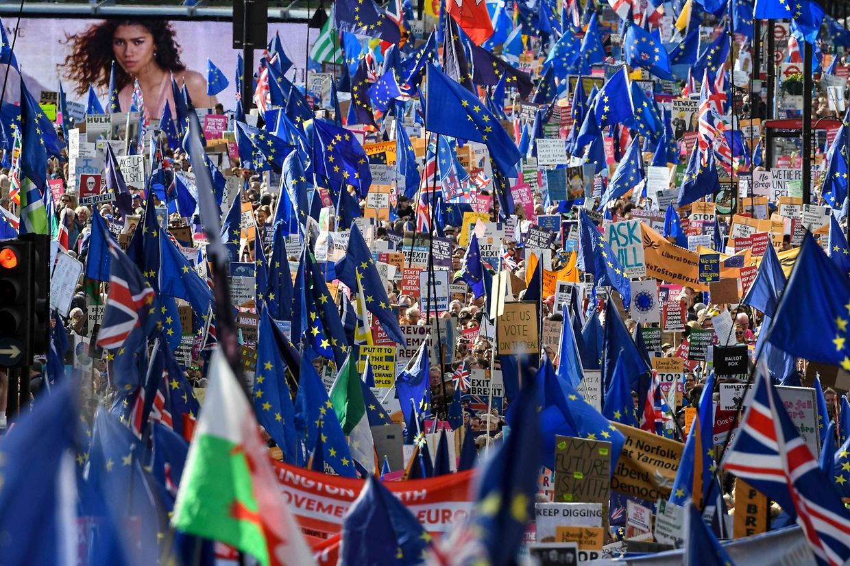 Ein Meer aus blauen EU-Fahnen.