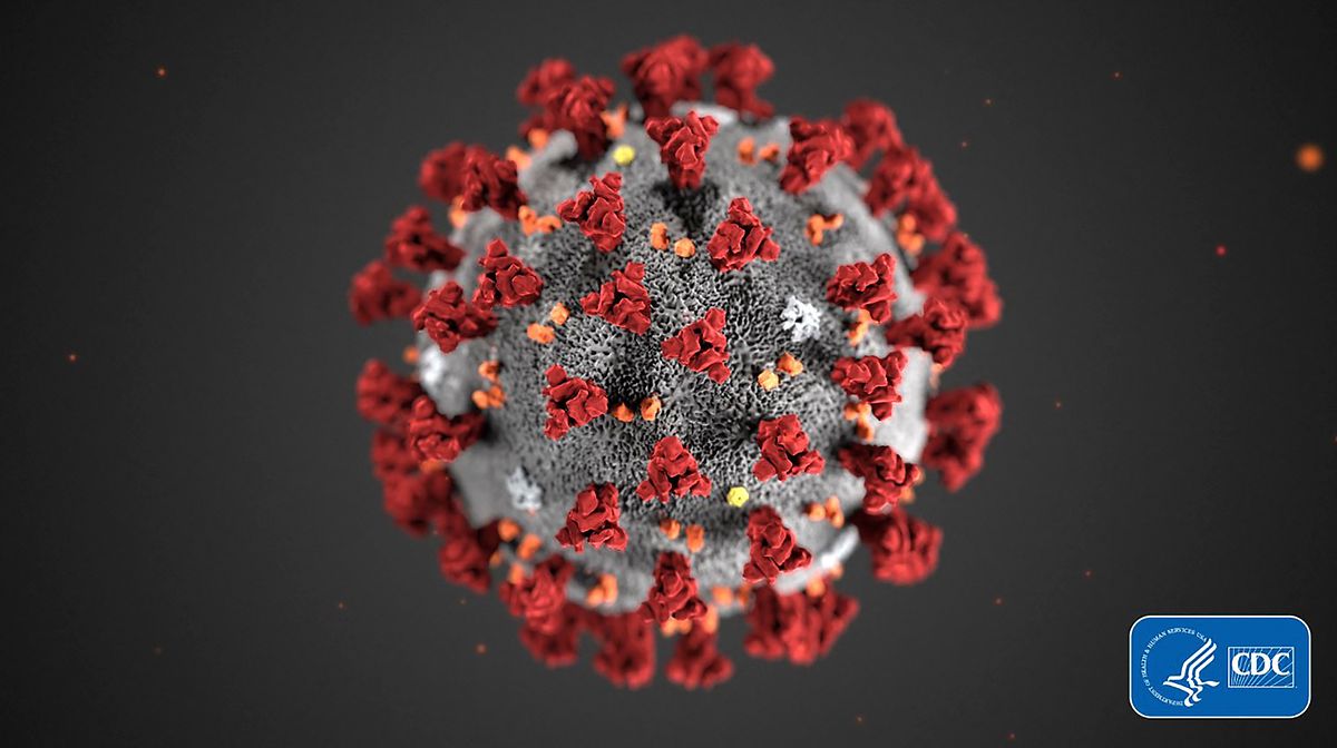 Les pics ornant la surface extérieure du virus (qui donnent l'apparence d'une couronne) lui ont donné son nom : corona virus.