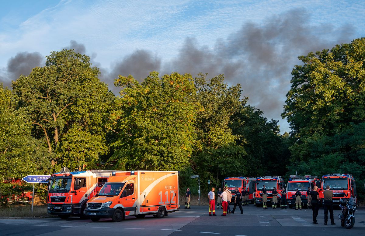 Feuerwehrfahrzeuge stehen am Kronprinzessinnenweg in Berlin.