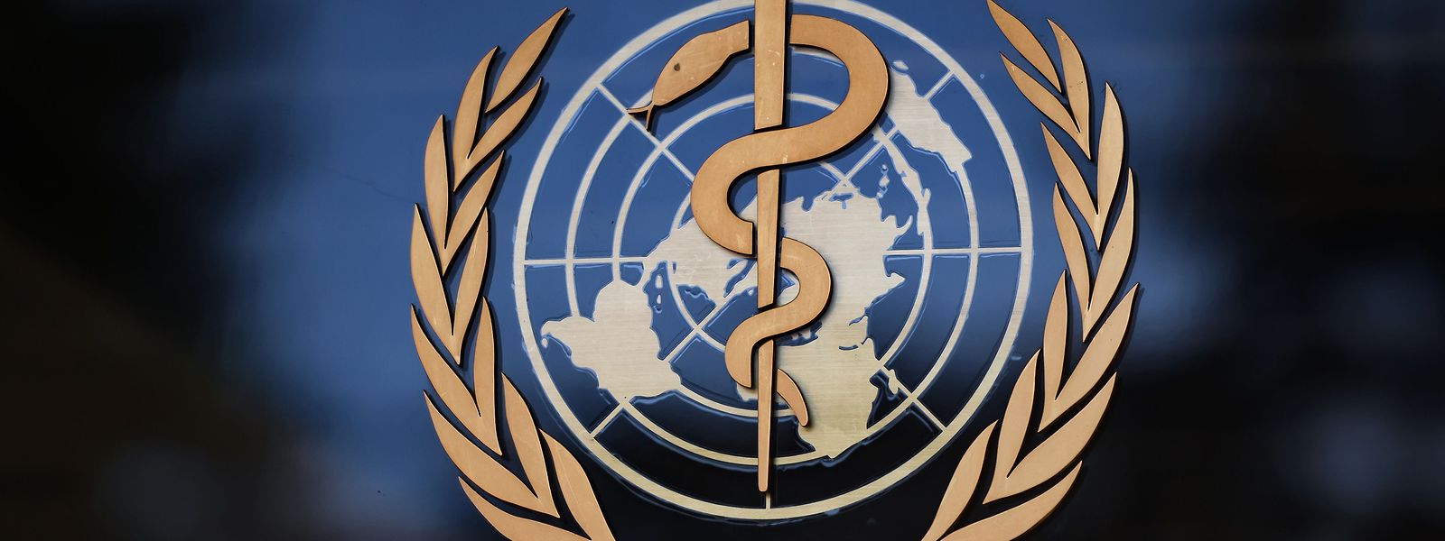 Die WHO hat ihren Sitz in Genf.