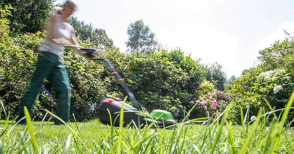 Tipps zur Bewässerung des Rasens