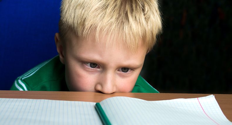 Kind Schüler Junge Schule Lernen Heft Bildung (SHUTTERSTOCK)