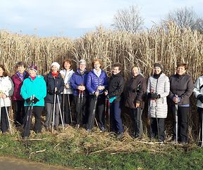 Mat Nordic Walking an d'Hierschtsaison -  Gemeng Contern