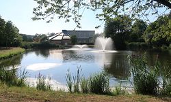 Fischweiher im Park Roudemer in Steinfort / Foto: Luc EWEN
