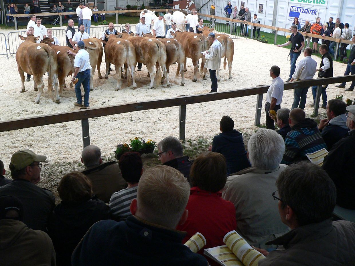 Die "Foire agricole" wusste den Regen am Samstag bereits mit einem abwechslungsreichen Show-Programm zur Nebensache werden zu lassen.