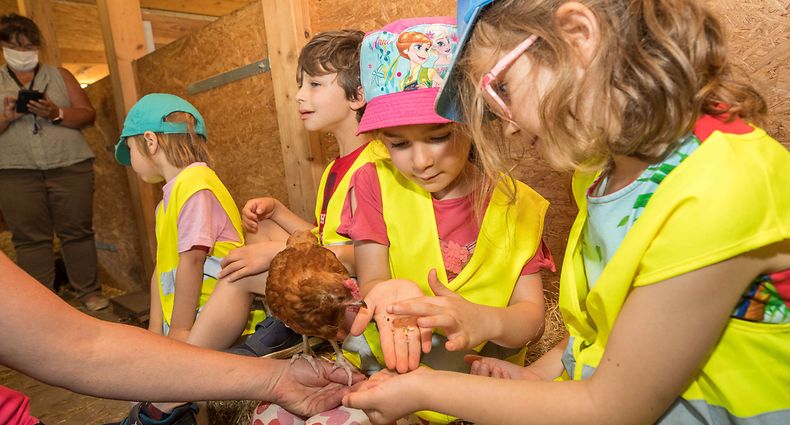 19/07/2021 , An Hecken, Pdagogesche Bauerenhaf an Hecken,Hecken-Gemeis,Hobscheid ,Photo: © Laurent Blum ,  , Hobscheid , Hobscheid ,  , © Laurent Blum
