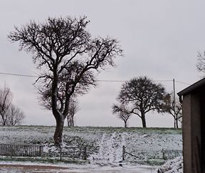 Den eschten Schnei  - 20.11.2024