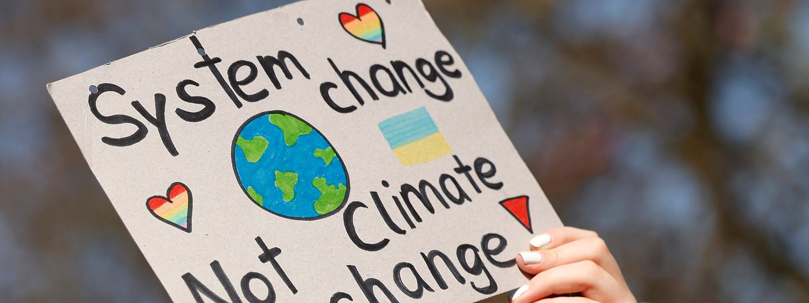 «System change Not climate change», une pancarte brandie pendant la grève du climat Fridays for Future à Coblence en Allemagne.