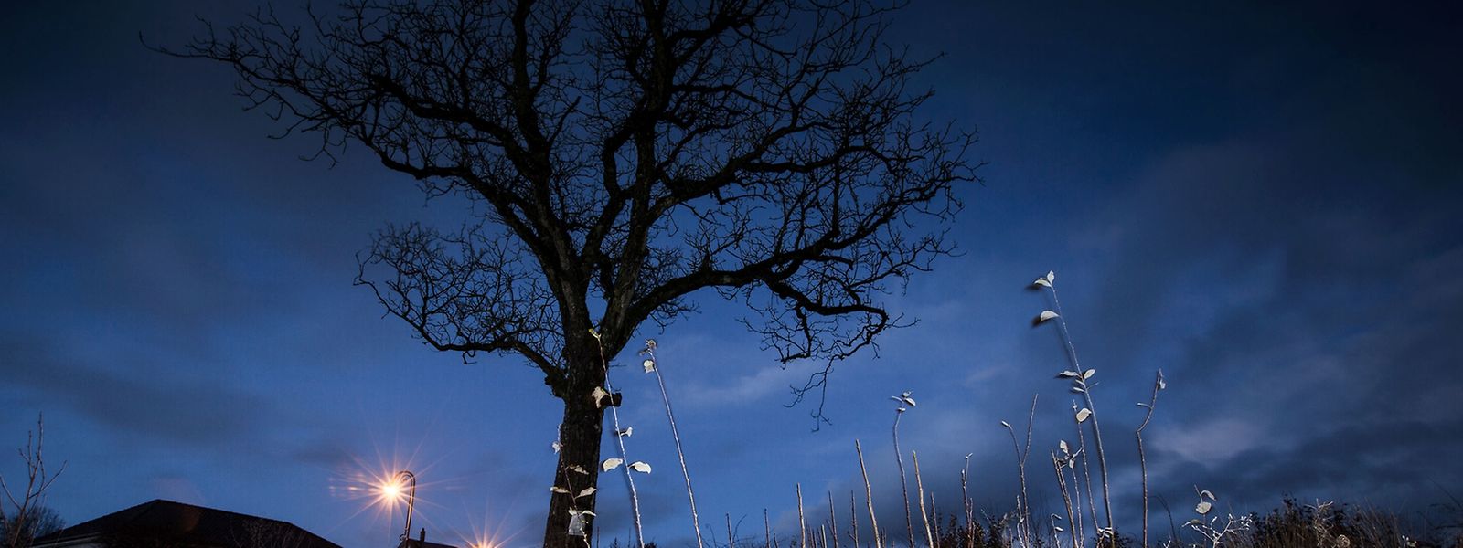 Auch der "Hasseler Mord" gilt als ungeklärt - dies nach dem Freispruch der drei Beschuldigten im März 2015. Der Tatort, das Haus des Opfers in der Hasseler Rue Killebierg, ist mittleweile abgerissen.