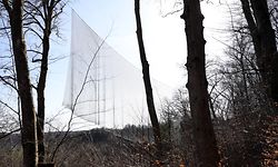 Lokales, Filet au Galgebierg à Belvaux, Foto: Chris Karaba/Luxemburger Wort