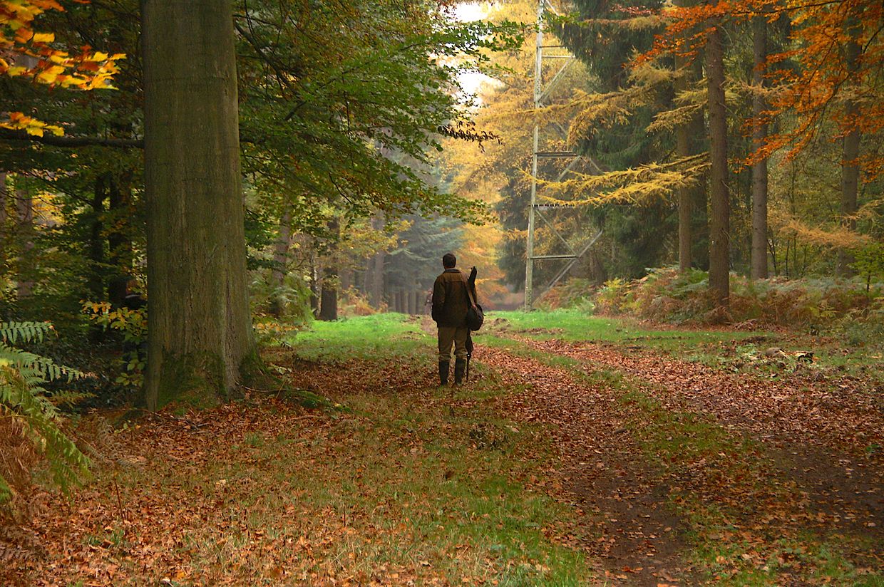 KONICA MINOLTA DIGITAL CAMERA