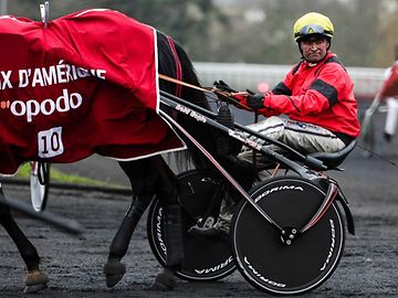 Corridas de cavalos: Apostas hípicas representam 3% do volume de negócios da Loterie Nationale