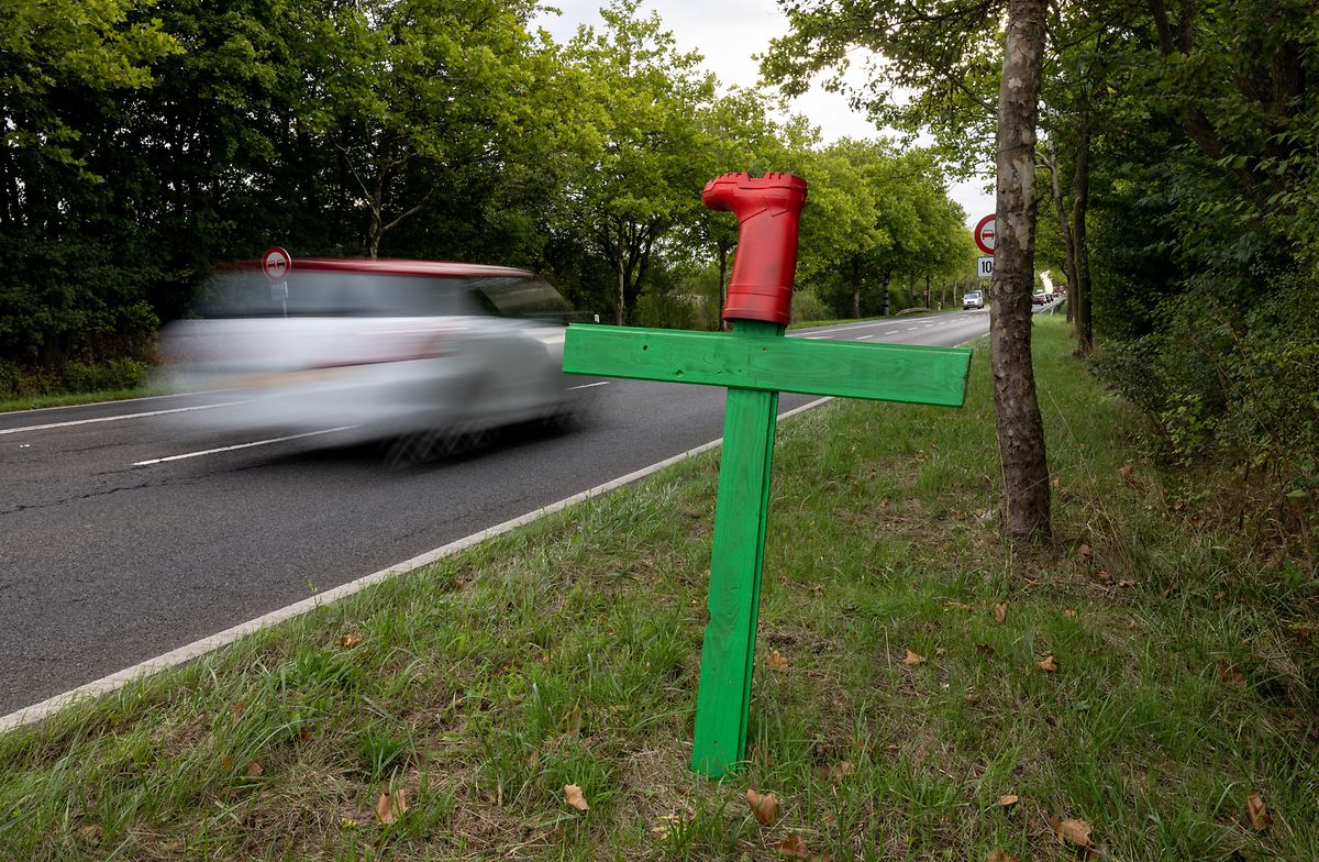 Entre 300 et 400 croix à la botte rouge ont été érigées dans la nuit de jeudi à vendredi, notamment le long des routes, pour attirer l'attention sur l'angoisse existentielle des jeunes agriculteurs.