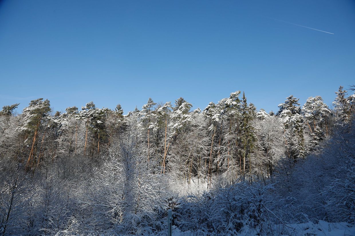 Illustration, Schnee, Winter, Winterlandschaft, Foto: Anouk Antony/Luxemburger Wort