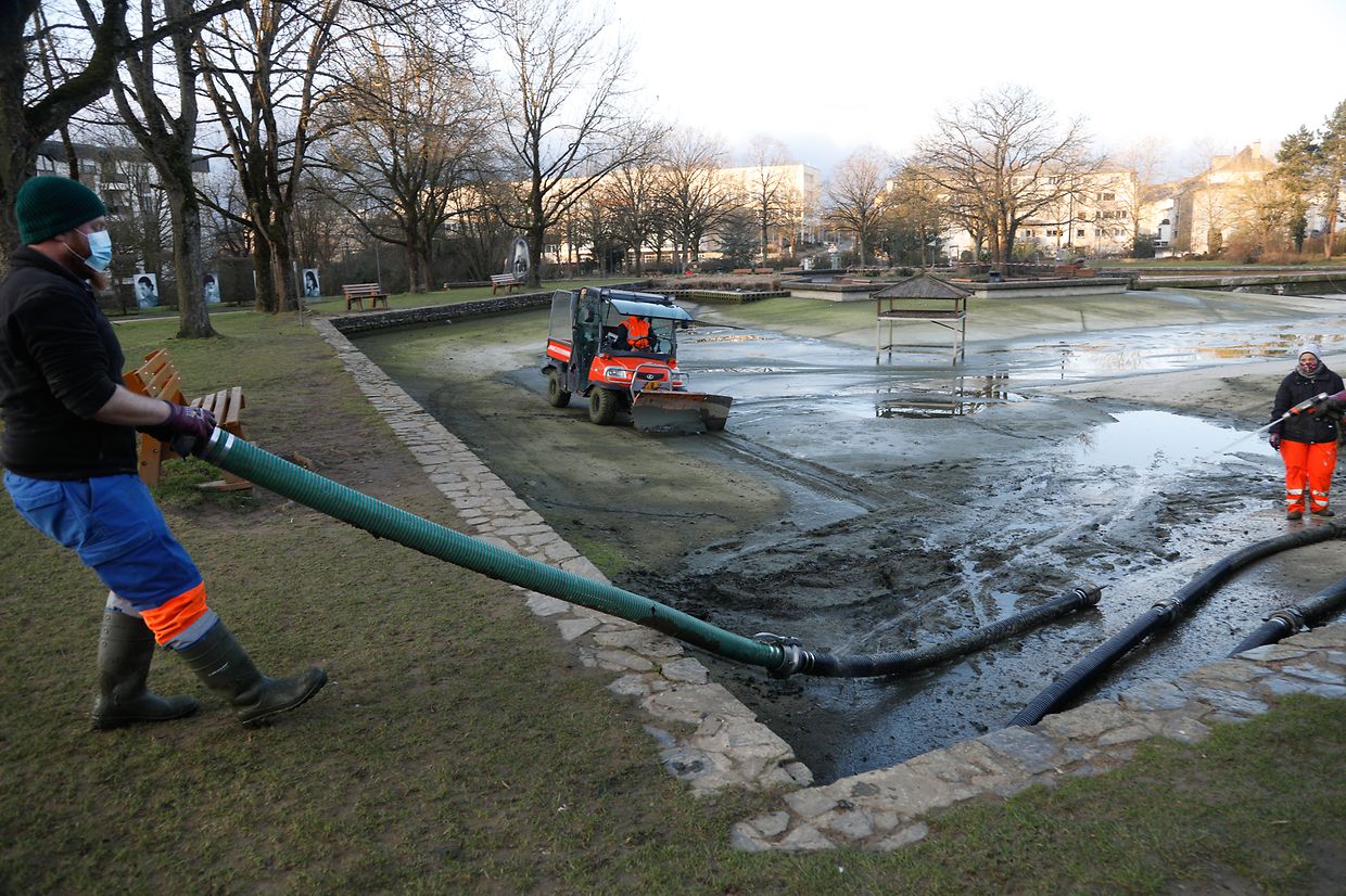 Im Laufe der Zeit hat sich jede Menge Schmutz - in der Hauptsache Exkremente der Tiere und Brotreste - angesammelt.