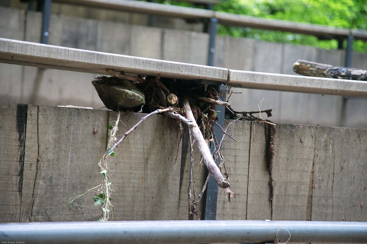 4.6.2018 Luxembourg, Berdorf, erdrutsch nach Hochwasser photo Anouk Antony
